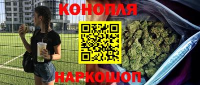 твердый Кингисепп