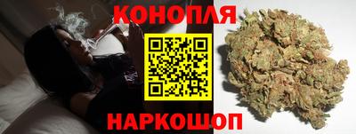 твердый Кингисепп