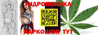 твердый Кингисепп