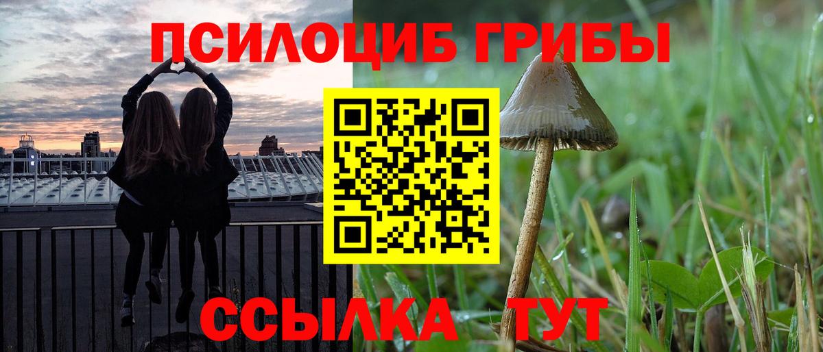 Галлюциногенные грибы Psilocybine cubensis  Вход с VPN  Кстово  Псилоцибиновые грибы прущие грибы 